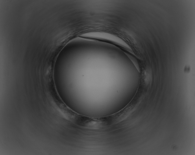 X0000091540364200708311337