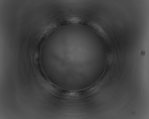 X0000091540365200708311337