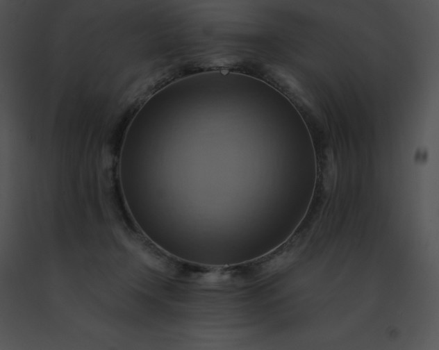 X0000091540366200708311337