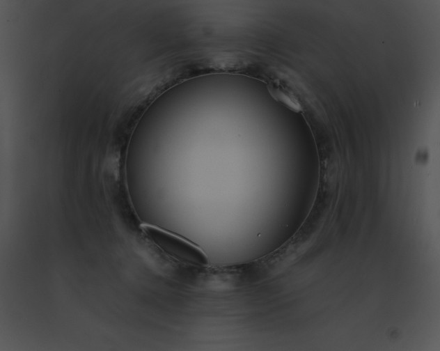 X0000091540368200708311337