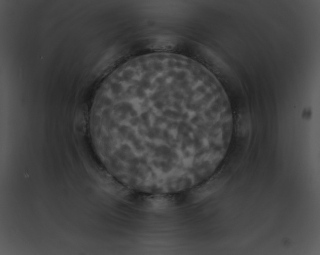X0000091540370200708311337