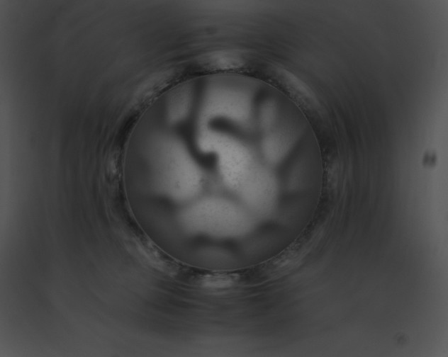 X0000091540373200708311337