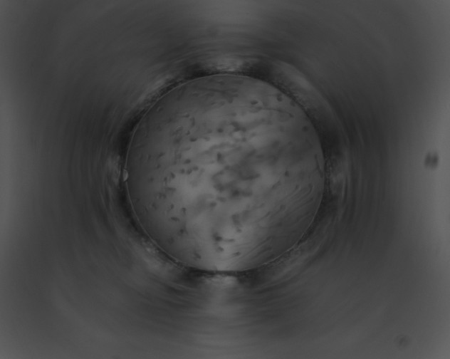 X0000091540374200708311337
