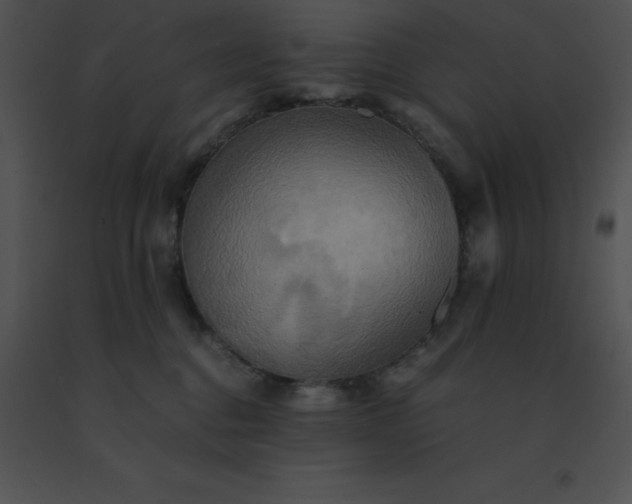 X0000091540376200708311337