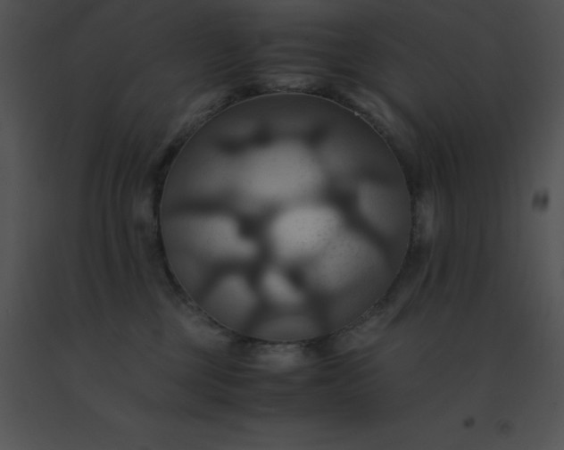 X0000091540377200708311337