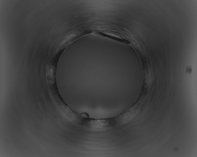 X0000091540378200708311337