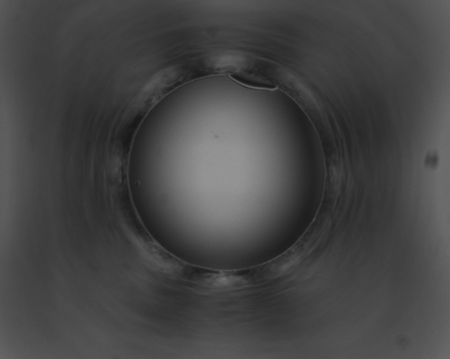 X0000091540379200708311337