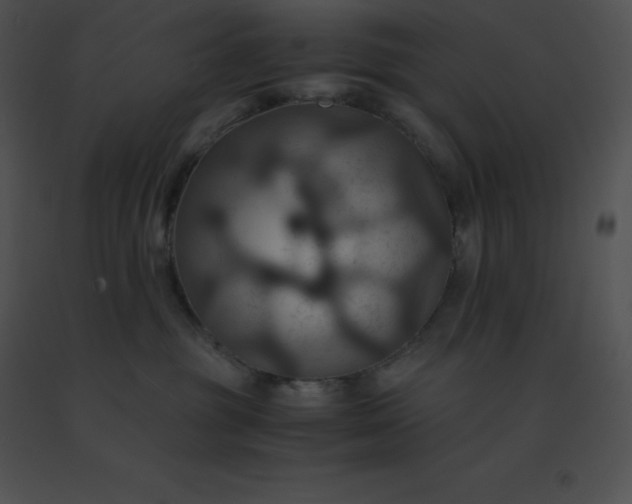 X0000091540381200708311337