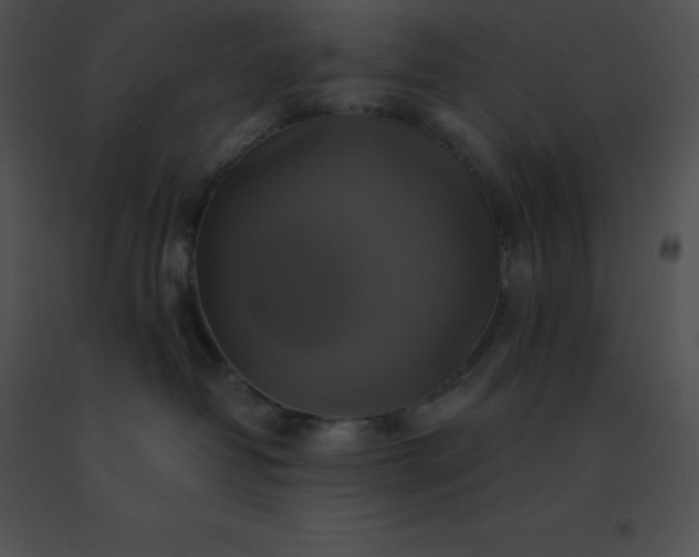 X0000091540382200708311337