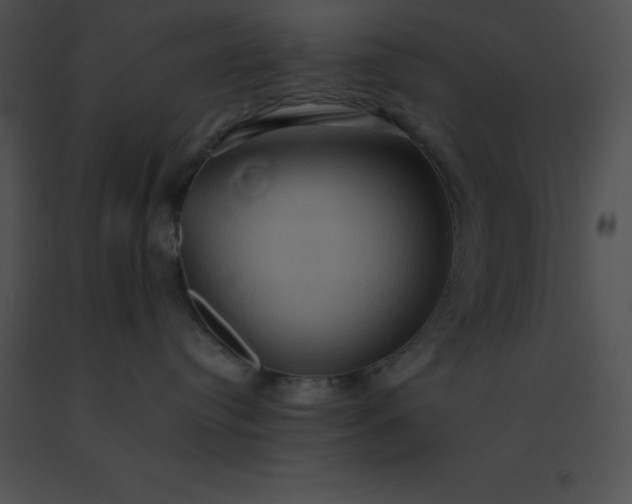 X0000091540384200708311337