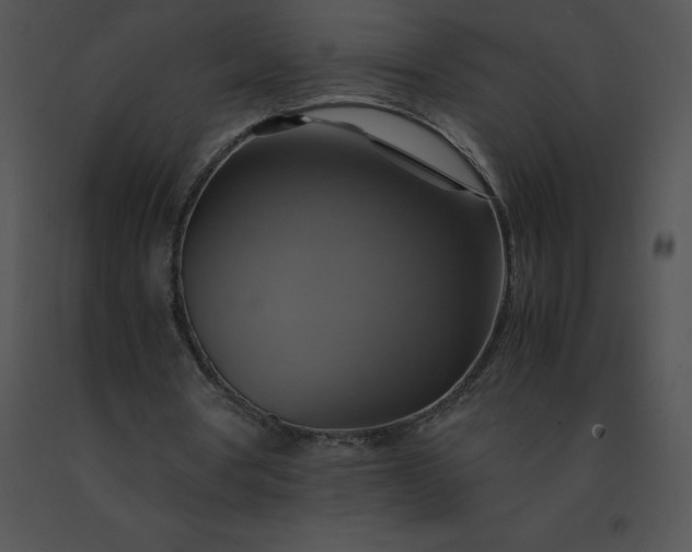 X0000091540386200708311336