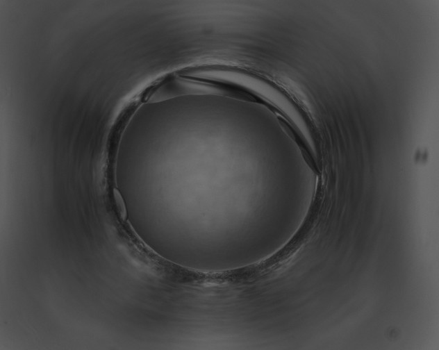 X0000091540388200708311336