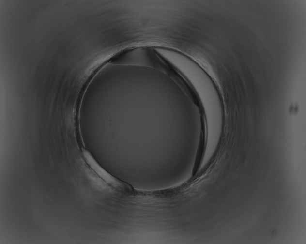 X0000091540389200708311336