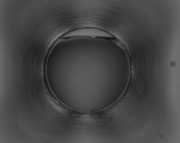 X0000091540390200708311336