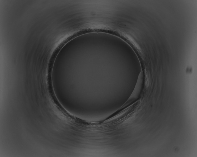 X0000091540391200708311336