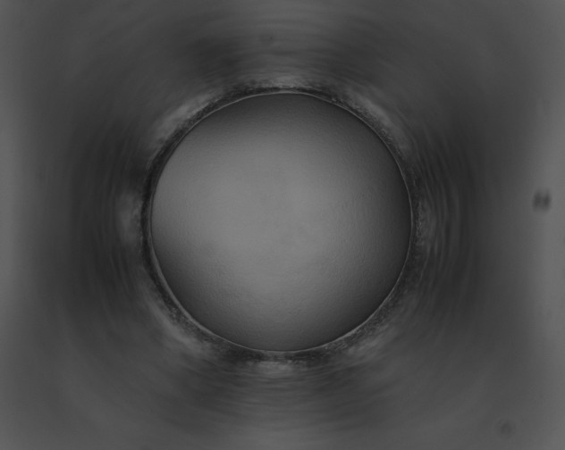 X0000091540394200708311336