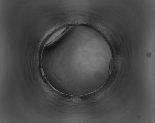 X0000091540395200708311336