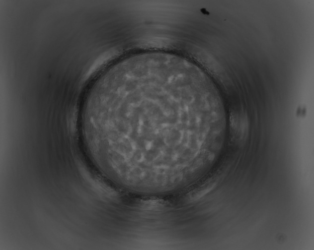 X0000091540396200708311336