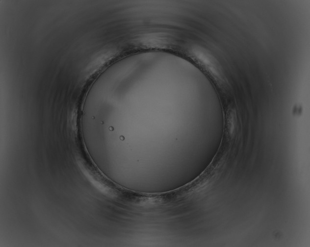 X0000091540398200708311336