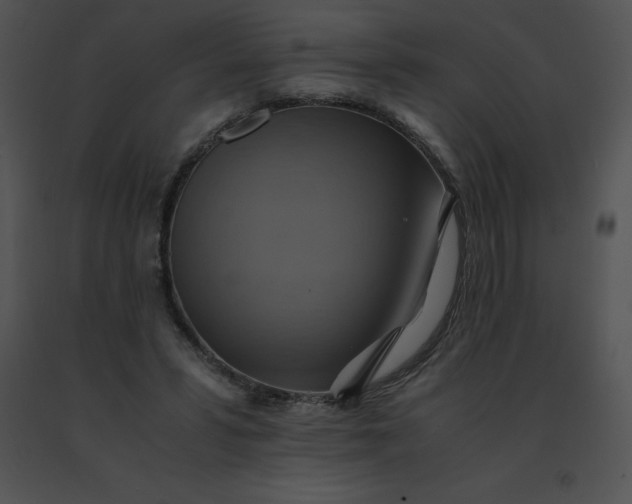 X0000091540399200708311336