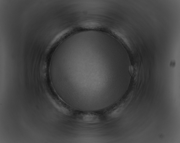 X0000091540400200708311336