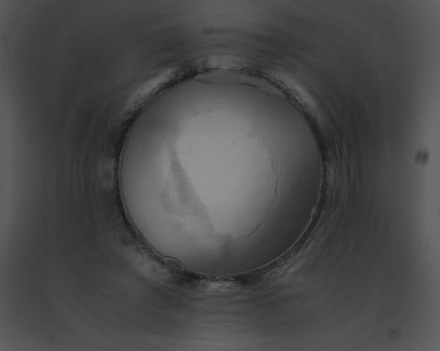 X0000091540401200708311336