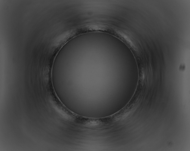 X0000091540402200708311336