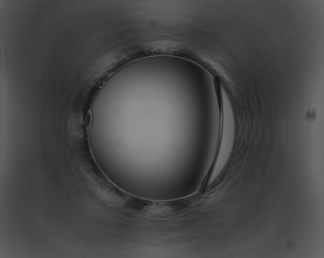 X0000091540403200708311336