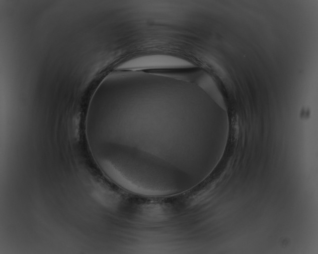 X0000091540404200708311336
