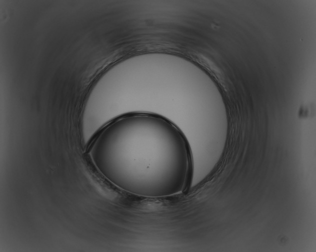 X0000091540405200708311336
