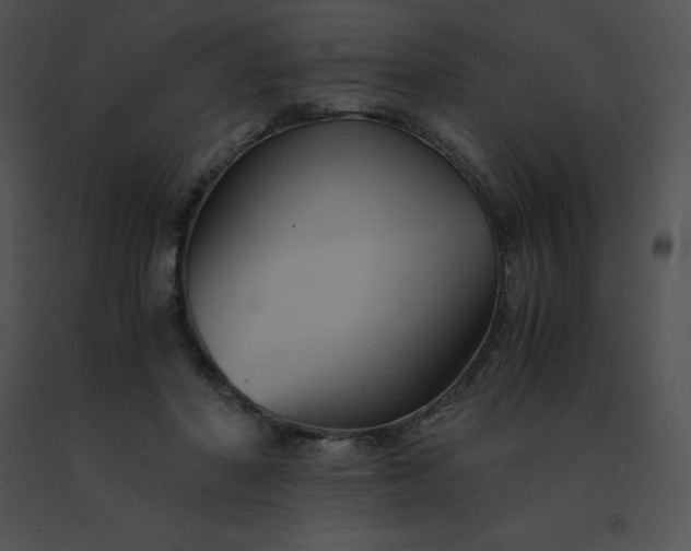 X0000091540406200708311336