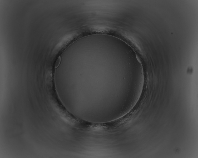 X0000091540407200708311336