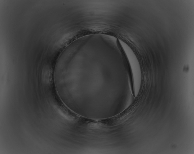 X0000091540408200708311336