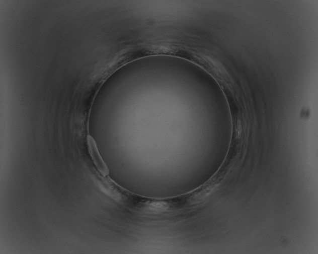 X0000091540409200708311336