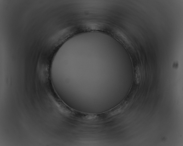 X0000091540410200708311336