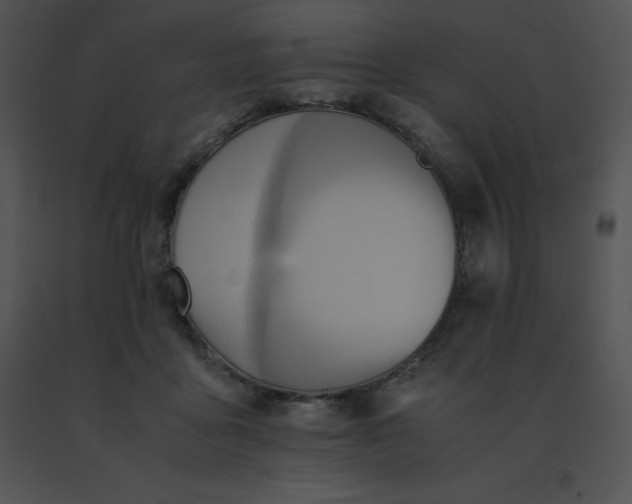 X0000091540411200708311336