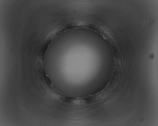 X0000091540415200708311336