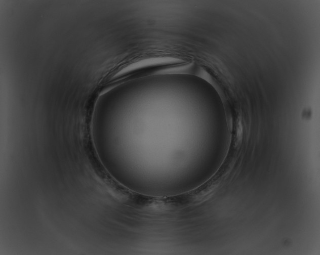 X0000091540416200708311336