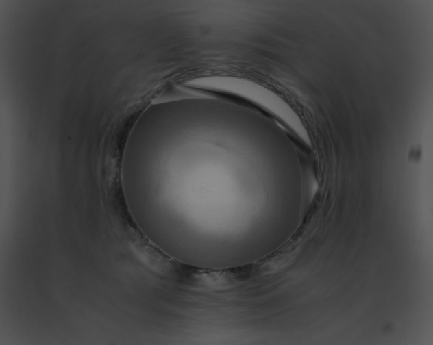 X0000091540417200708311336