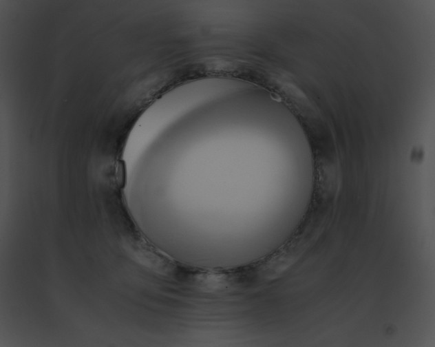 X0000091540419200708311336