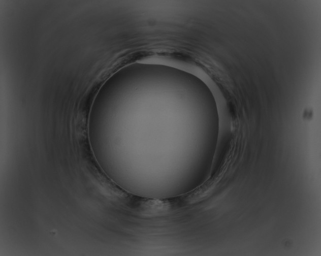 X0000091540421200708311336