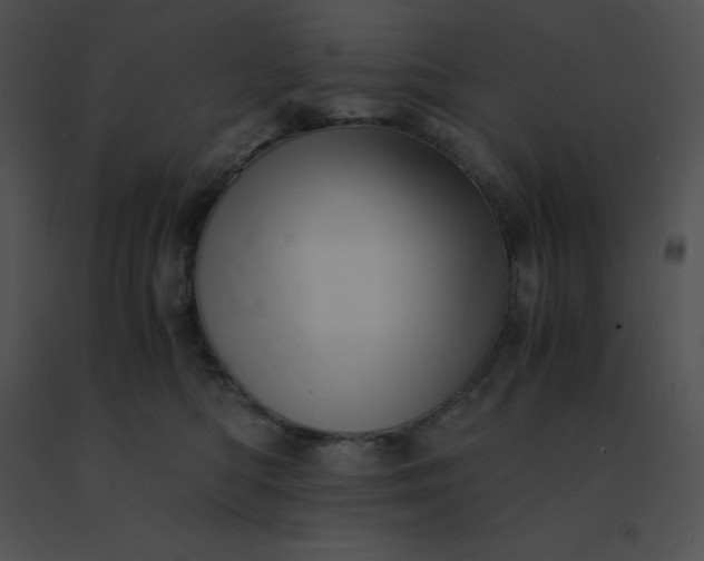 X0000091540422200708311336