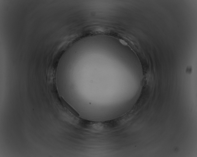 X0000091540423200708311336