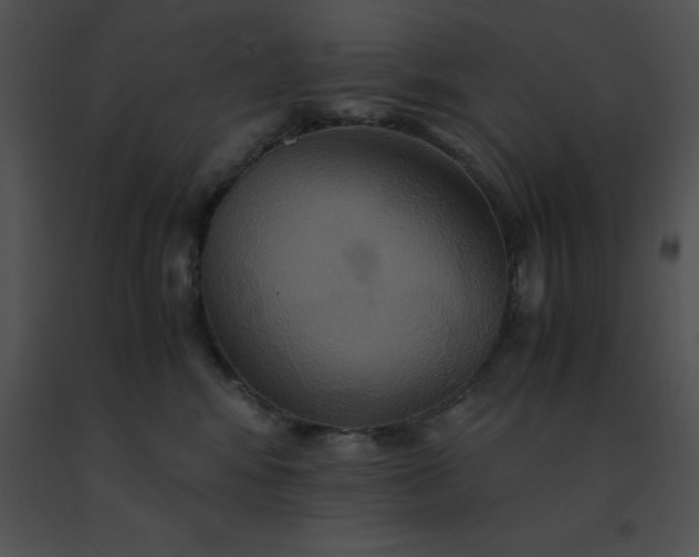 X0000091540424200708311336