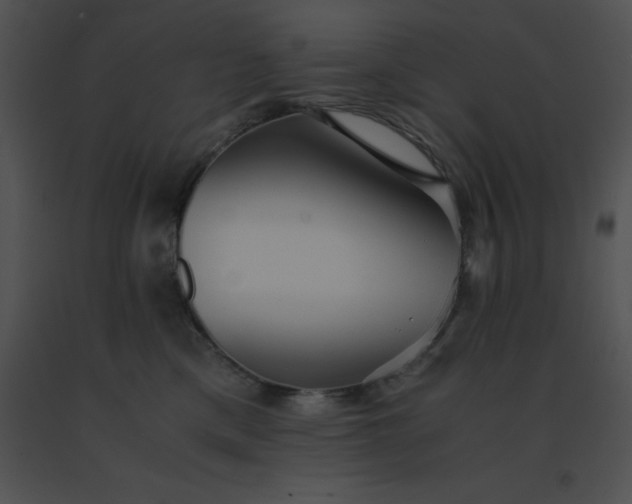 X0000091540425200708311336