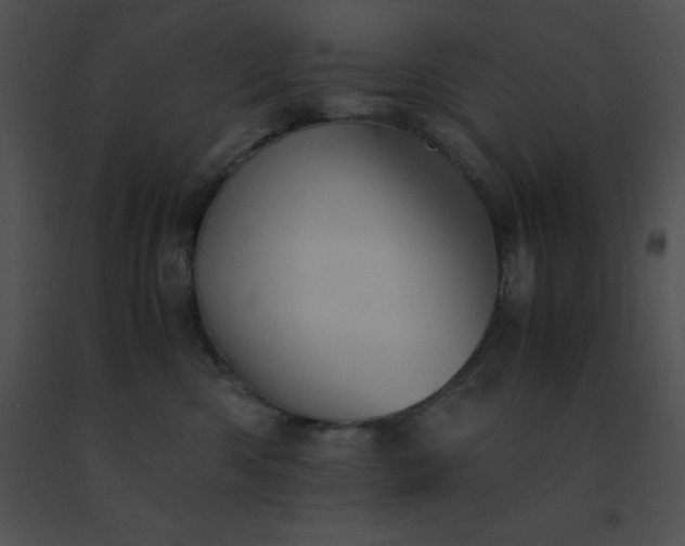X0000091540426200708311336