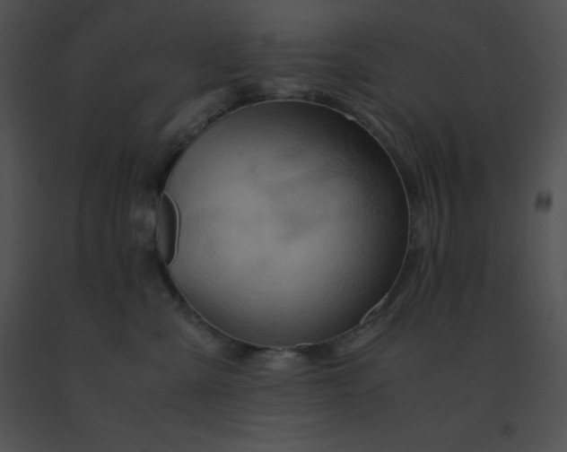 X0000091540427200708311336