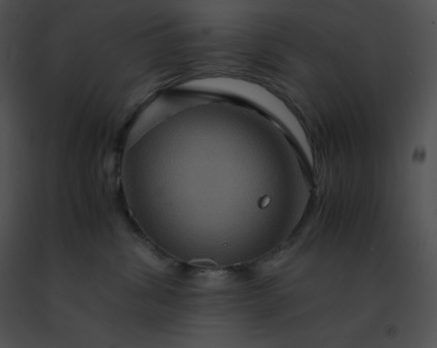 X0000091540428200708311336