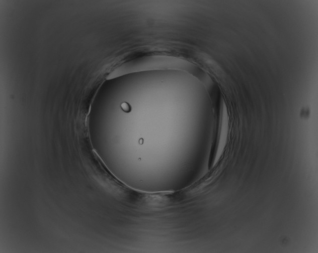 X0000091540429200708311336