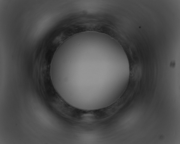 X0000091540430200708311336